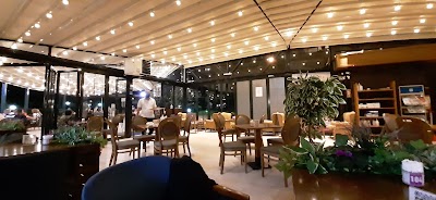 PenCR Burun - Kafe